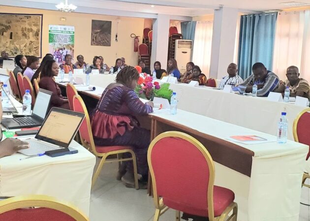 Programme KENEYA-YIRI : Des prestataires privés de santé outillés sur la Stratégie avancée de soins.